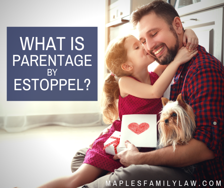 what-is-parentage-by-estoppel-in-california-maples-family-law